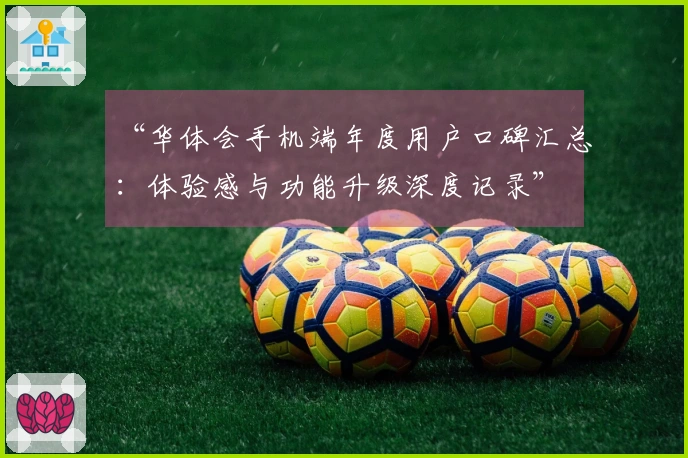 “华体会手机端年度用户口碑汇总：体验感与功能升级深度记录”