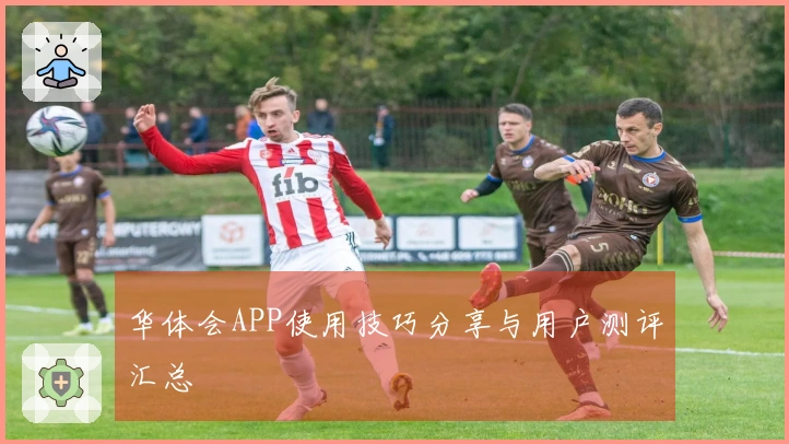 华体会APP使用技巧分享与用户测评汇总